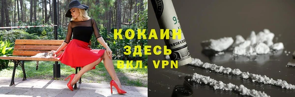 ешки Алексин